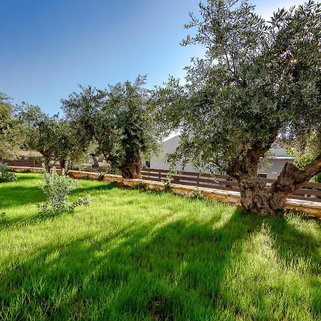 Colonides 4* Vounária