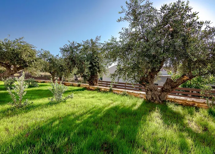 Colonides 4* Vounária