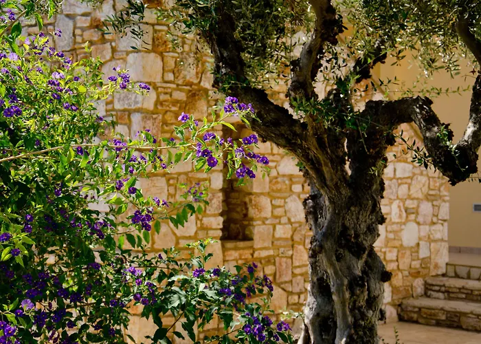 Colonides - Seaside Retreat Sea & Silence Hotel 4*